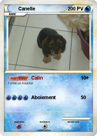 Pokemon Canelle