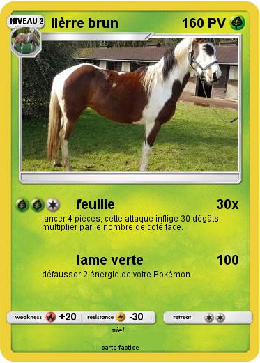 Pokemon lièrre brun