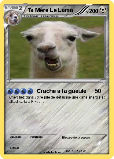 Pokemon Ta Mère Le Lama