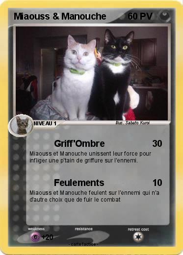 Pokemon Miaouss & Manouche