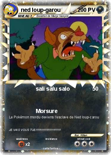 Pokemon ned loup-garou
