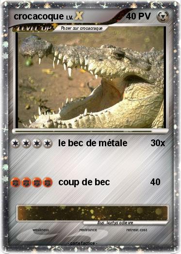 Pokemon crocacoque