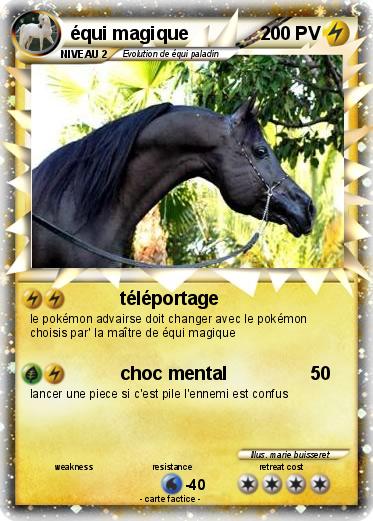 Pokemon équi magique