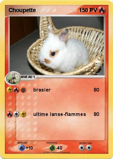 Pokemon Choupette