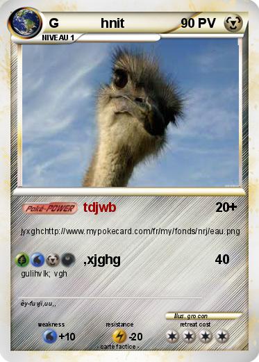 Pokemon G            hnit