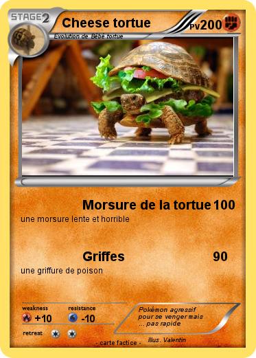 Pokemon Cheese tortue