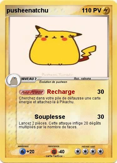 Pokemon pusheenatchu