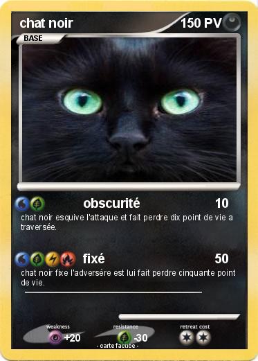 Pokemon chat noir