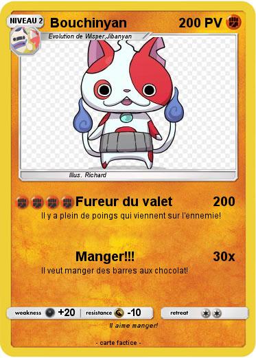 Pokemon Bouchinyan