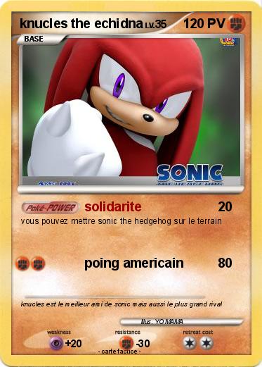 Pokemon knucles the echidna