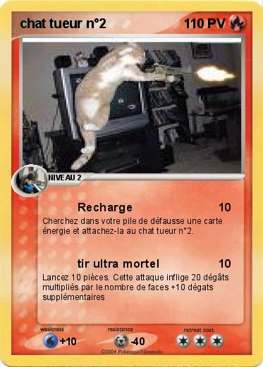 Pokemon chat tueur n°2