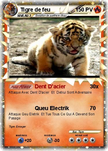 Pokemon Tigre de feu