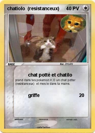 Pokemon chatiolo  (resistanceux)