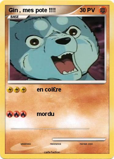 Pokemon Gin , mes pote !!!!
