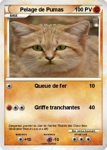 Pokemon Pelage de Pumas