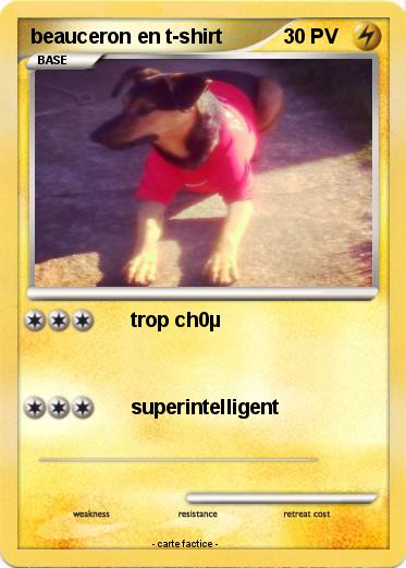 Pokemon beauceron en t-shirt