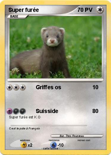Pokemon Super furée