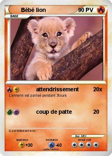 Pokemon Bébé lion