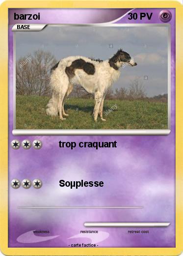 Pokemon barzoi
