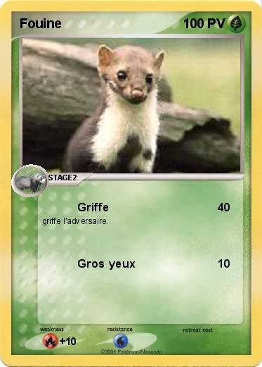 Pokemon Fouine