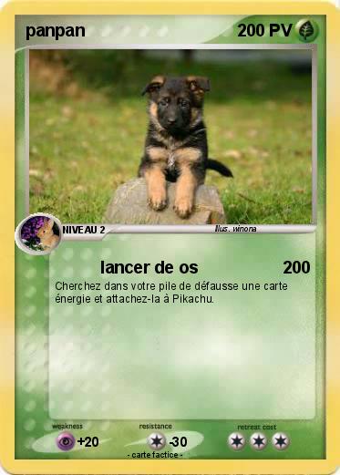 Pokemon panpan
