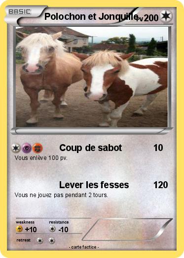 Pokemon Polochon et Jonquille
