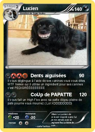 Pokemon Lucien