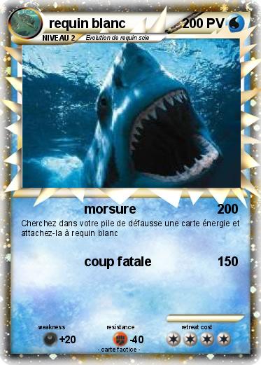 Pokemon requin blanc