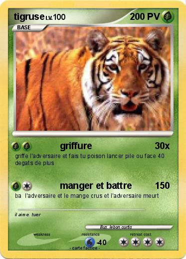 Pokemon tigruse