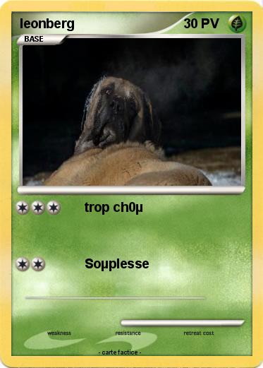 Pokemon leonberg