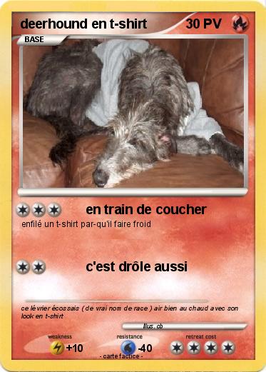 Pokemon deerhound en t-shirt