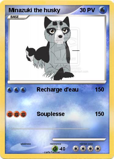 Pokemon Minazuki the husky