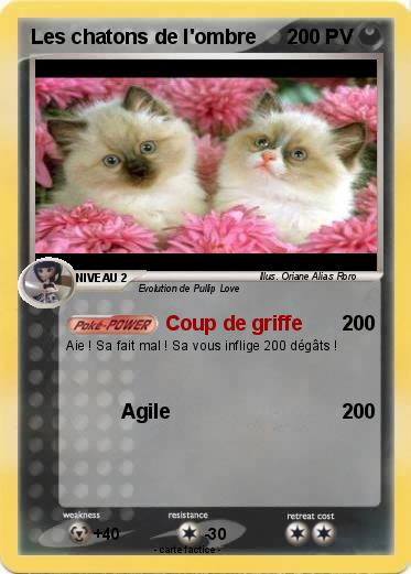 Pokemon Les chatons de l'ombre