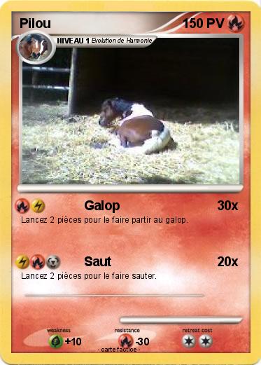 Pokemon Pilou