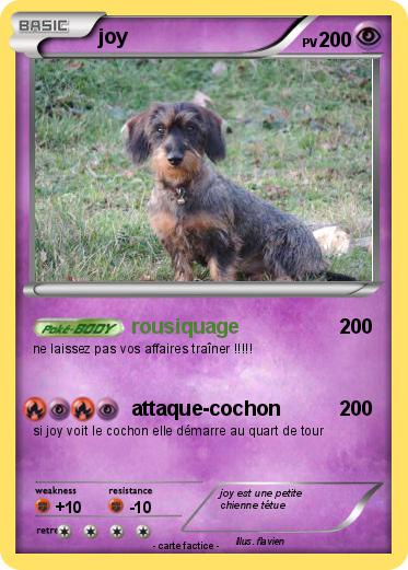 Pokemon joy