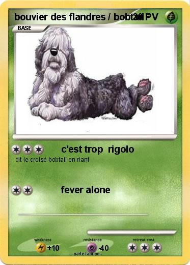 Pokemon bouvier des flandres / bobtail