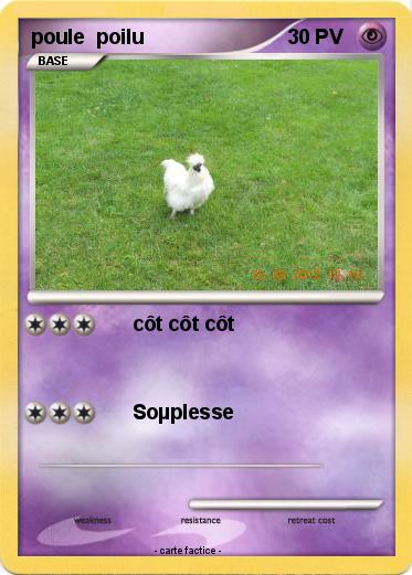 Pokemon poule  poilu