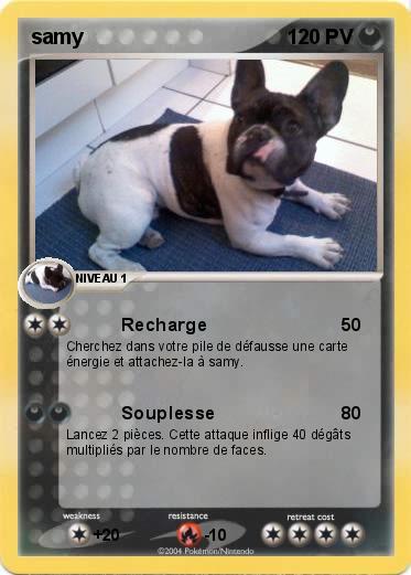 Pokemon samy