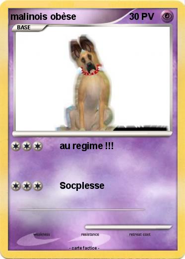 Pokemon malinois obèse