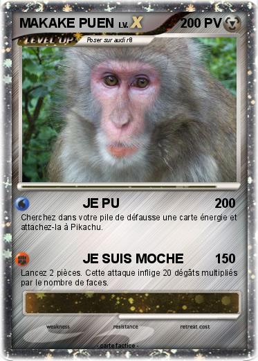 Pokemon MAKAKE PUEN