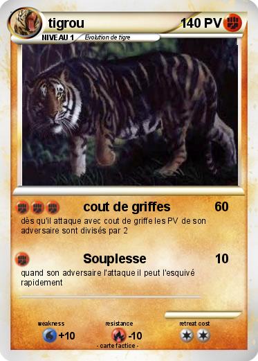 Pokemon tigrou