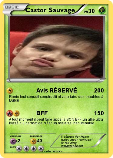 Pokemon Castor Sauvage