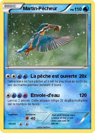 Pokemon Martin-Pêcheur