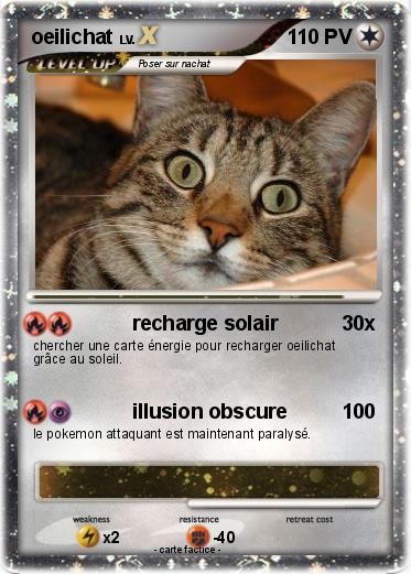 Pokemon oeilichat
