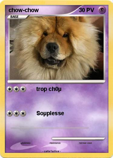 Pokemon chow-chow