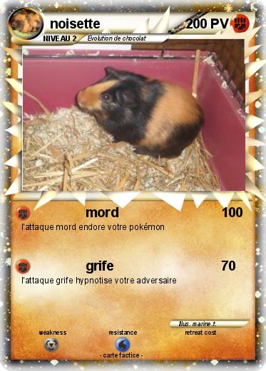 Pokemon noisette