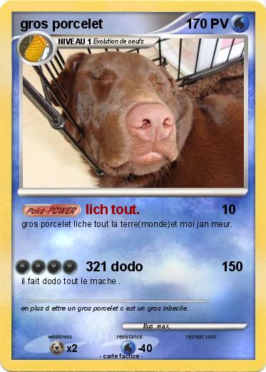 Pokemon gros porcelet