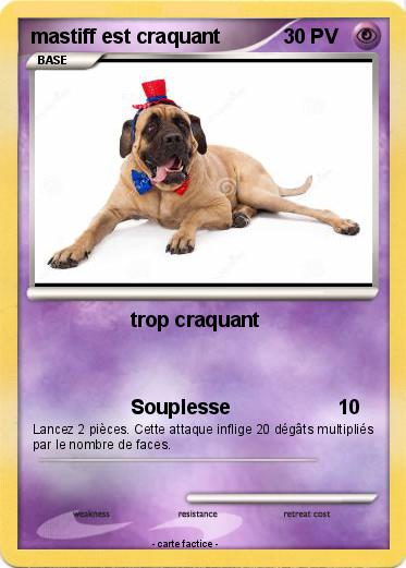 Pokemon mastiff est craquant