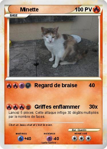 Pokemon Minette