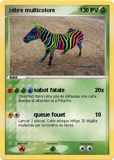 Pokemon zèbre multicolore